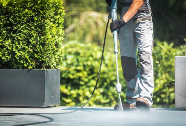 Best Rust Removal  in Nappanee, IN