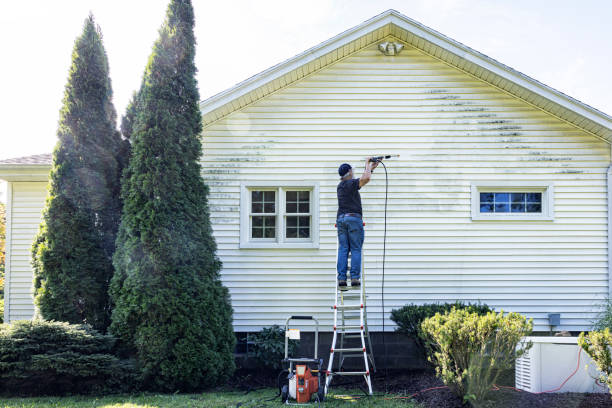Best Graffiti Removal  in Nappanee, IN