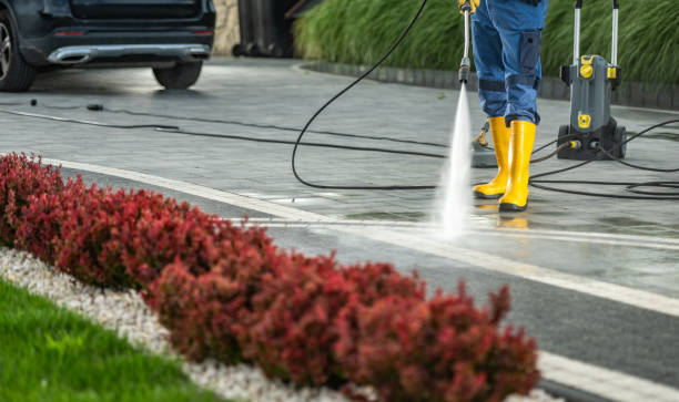 Best Fence Cleaning  in Nappanee, IN